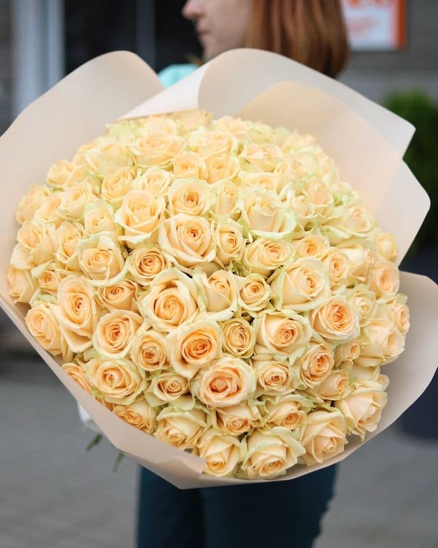 Bouquet de 100 roses crème Avalanche