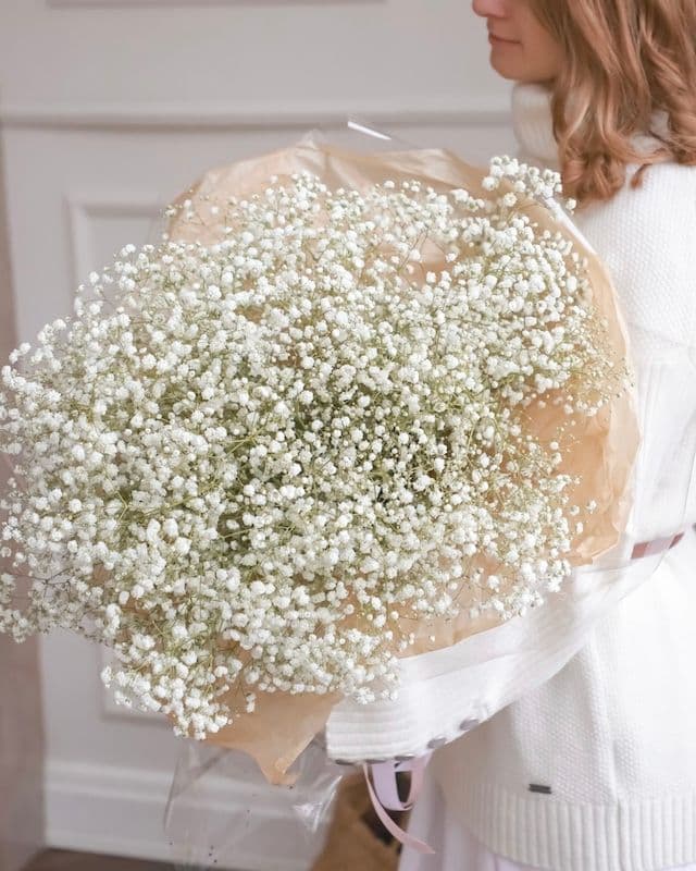 Monobouquet de Gypsophile Blanc