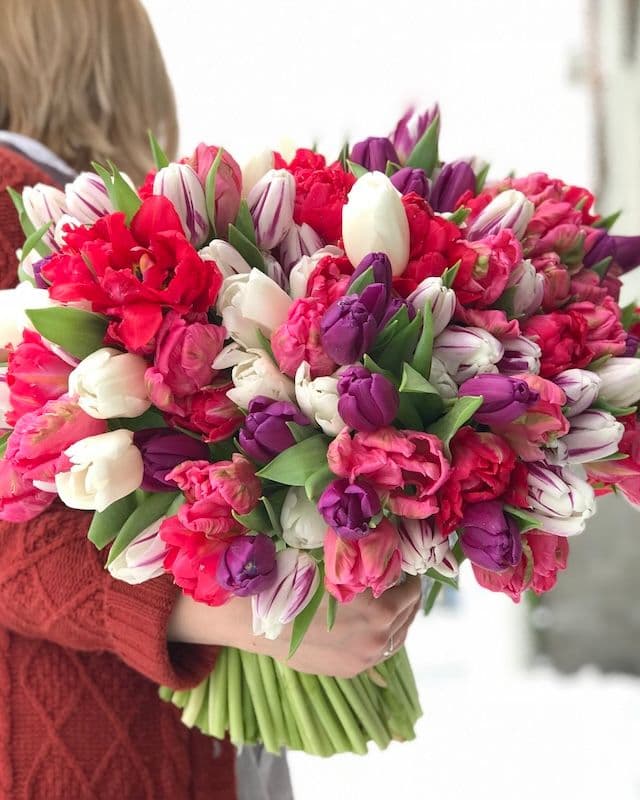 Bouquet de 300 tulipes multicolores