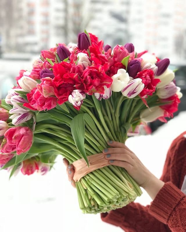 Bouquet de 300 tulipes multicolores