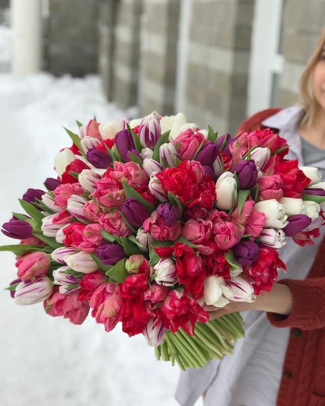 Bouquet de 300 tulipes multicolores