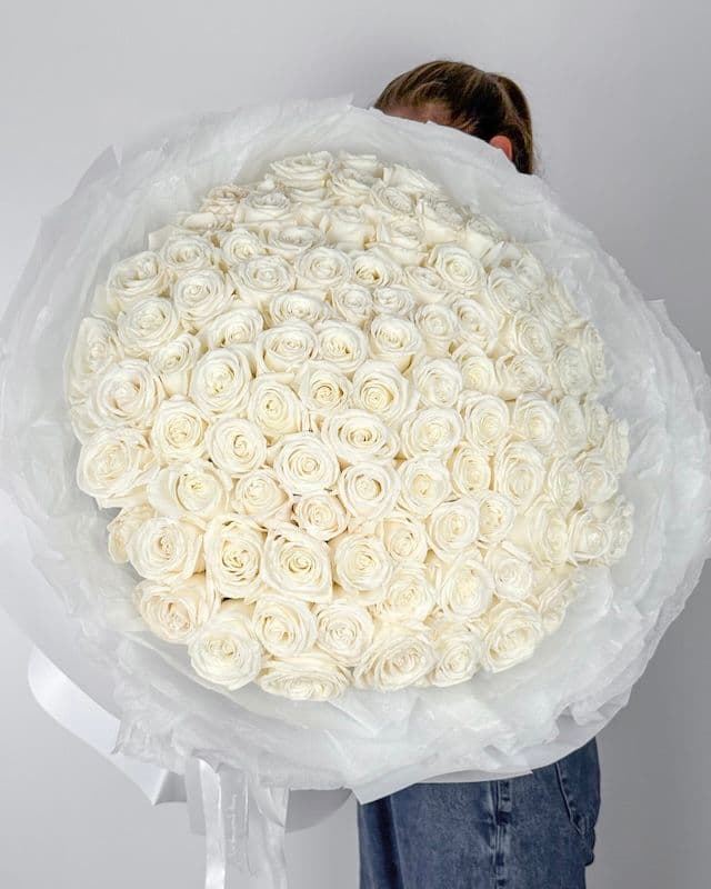 Bouquet 100 roses blanches, hauteur 70 cm