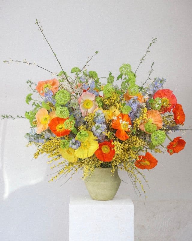 Composition florale avec coquelicots multicolores, genêt jaune et delphinium bleu