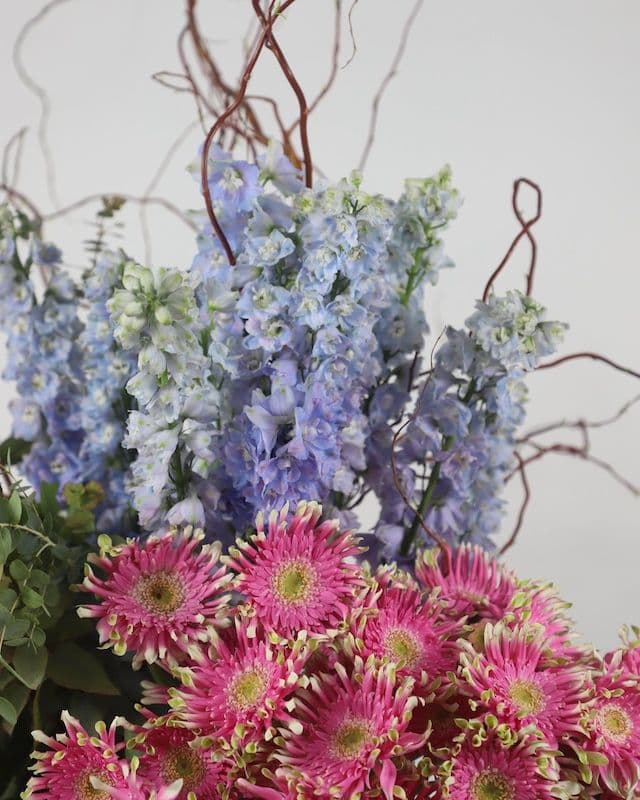 Composition florale moderne et excentrique avec gerberas Pasta roses, delphinium bleu, eucalyptus