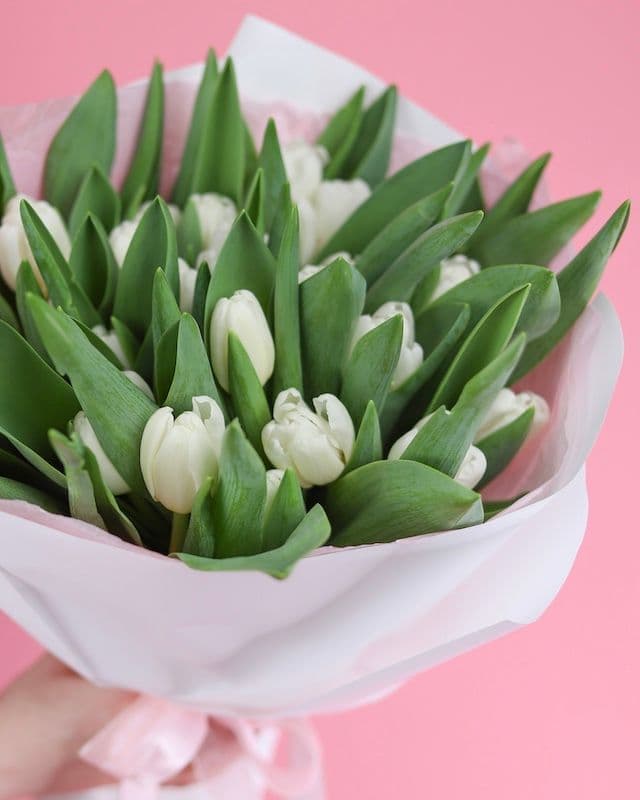 Un bouquet de 25 tulipes blanches