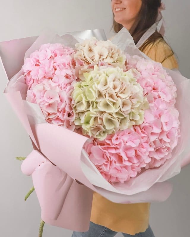Bouquet de 7 hortensias roses