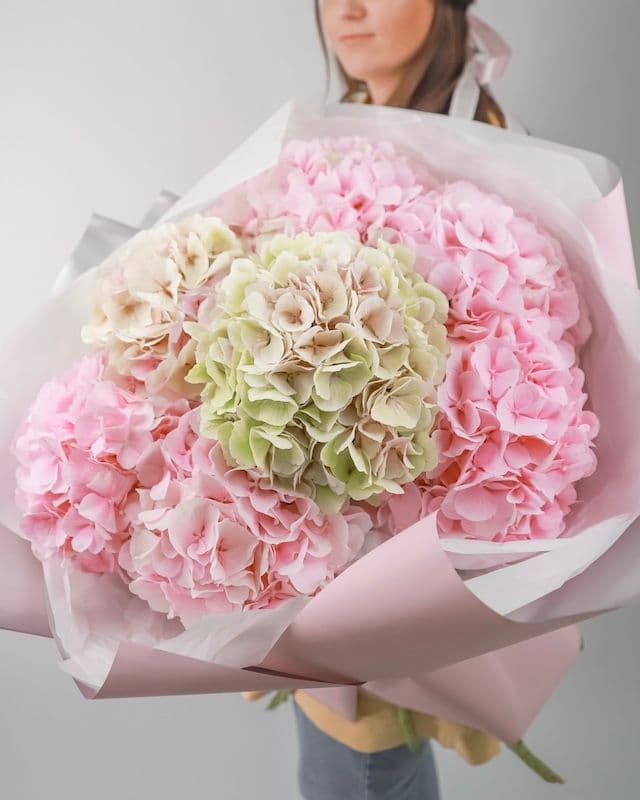 Bouquet de 7 hortensias roses