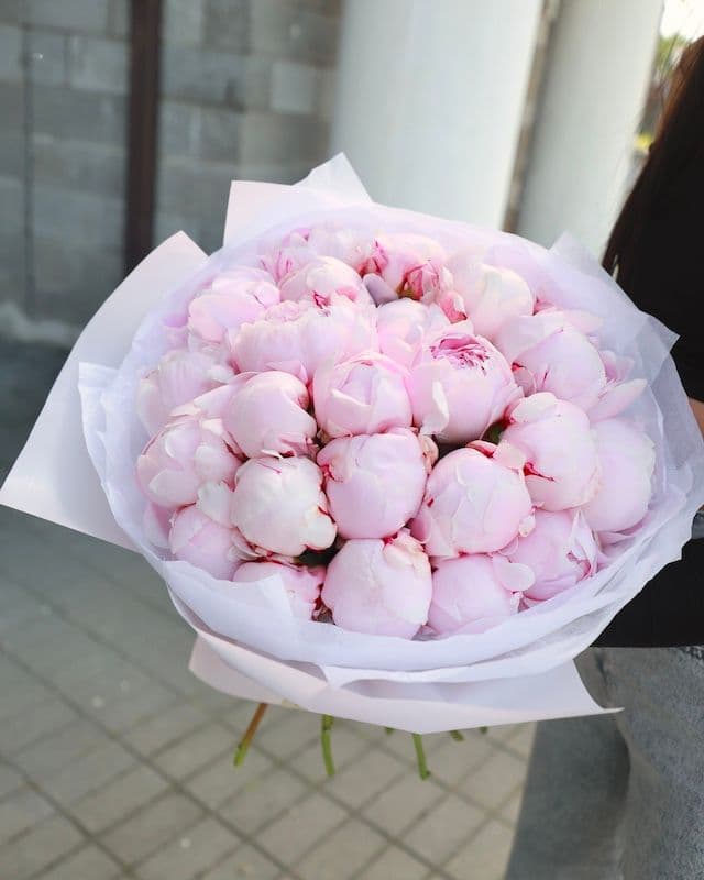 Bouquet de 25 pivoines variete Sara Bernar 