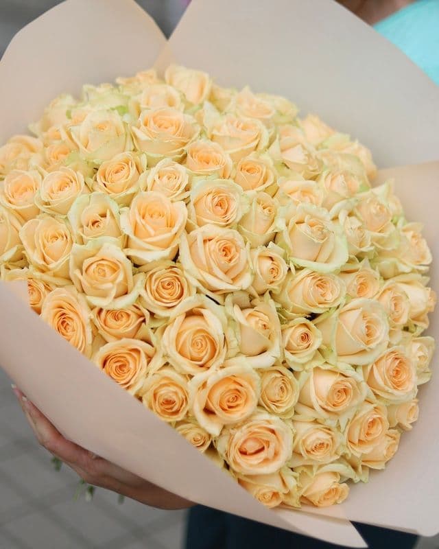 Bouquet de 75 roses crème Avalanche