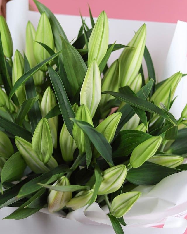 Bouquet de lys asiatiques blancs