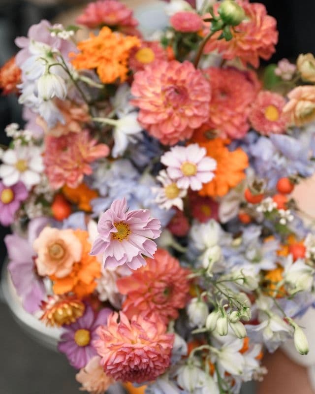 Bouquet de Mariée & Boutonnière d’Automne – Dahlias, Œillets d’Inde & Cosmos