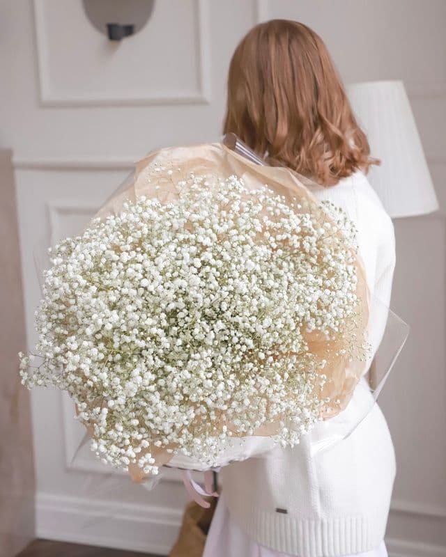 Monobouquet de Gypsophile Blanc