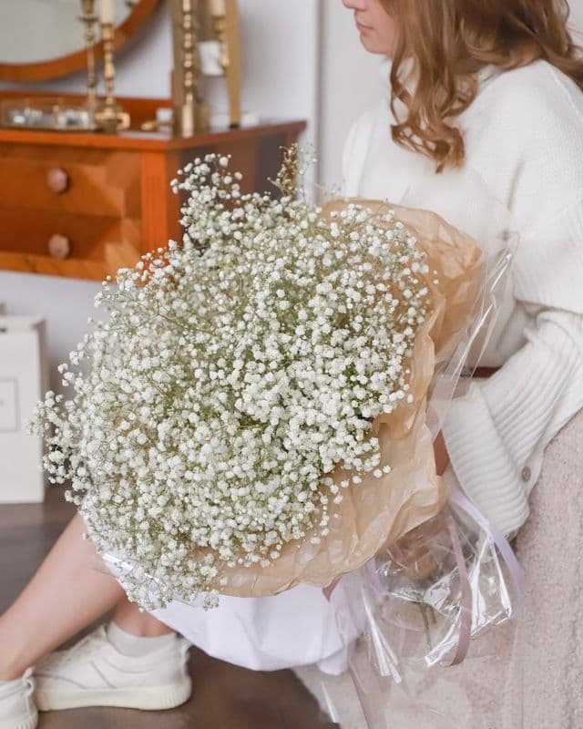 Monobouquet de Gypsophile Blanc