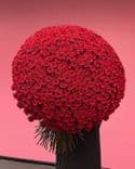 Bouquet de 300 Roses Rouges