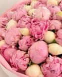 Bouquet 50 pivoines | Bowl of Cream