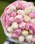 Bouquet de 50 pivoines blanc et rose Duchesse