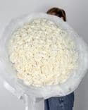 Bouquet 100 roses blanches, hauteur 70 cm