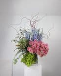 Composition florale moderne et excentrique avec gerberas Pasta roses, delphinium bleu, eucalyptus