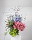 Composition florale moderne et excentrique avec gerberas Pasta roses, delphinium bleu, eucalyptus