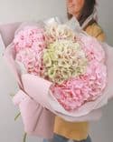 Bouquet de 7 hortensias roses