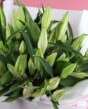 Bouquet de lys asiatiques blancs