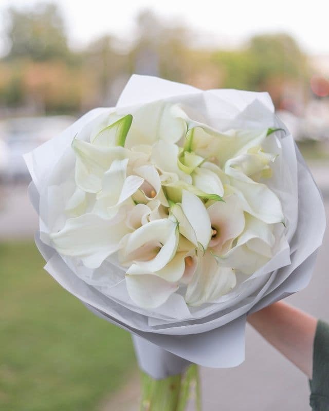 Bouquet élégant de 55 lys calla blancs