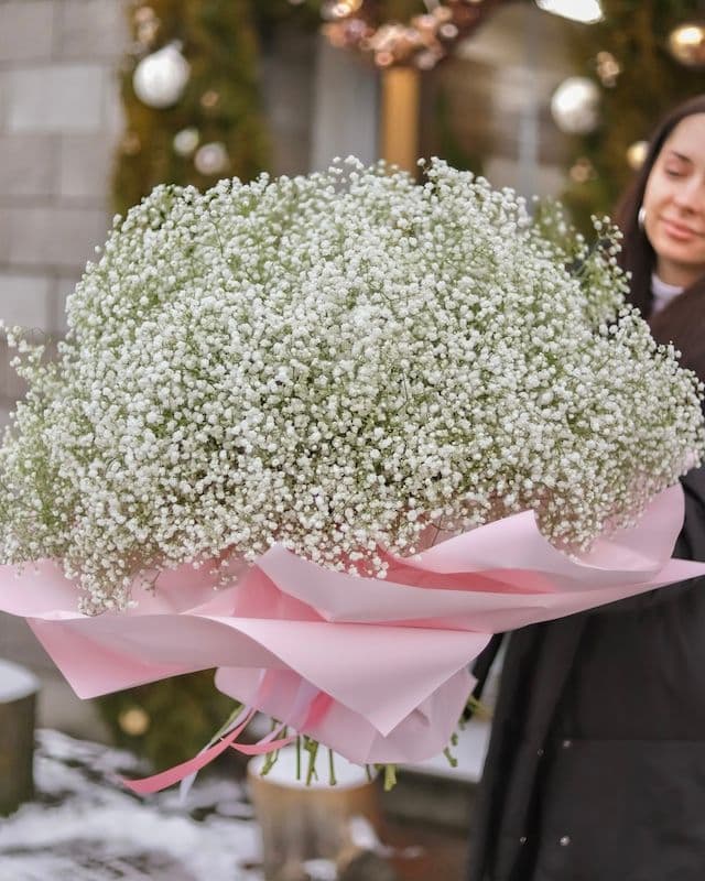 Somptueux énorme bouquet de gypsophile blanc