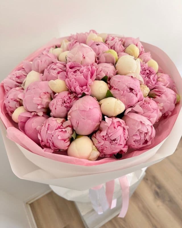 Bouquet 50 pivoines | Bowl of Cream