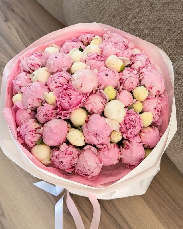 Bouquet 50 pivoines | Bowl of Cream