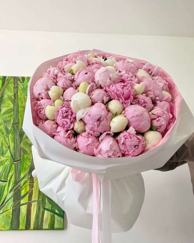 Bouquet 50 pivoines | Bowl of Cream