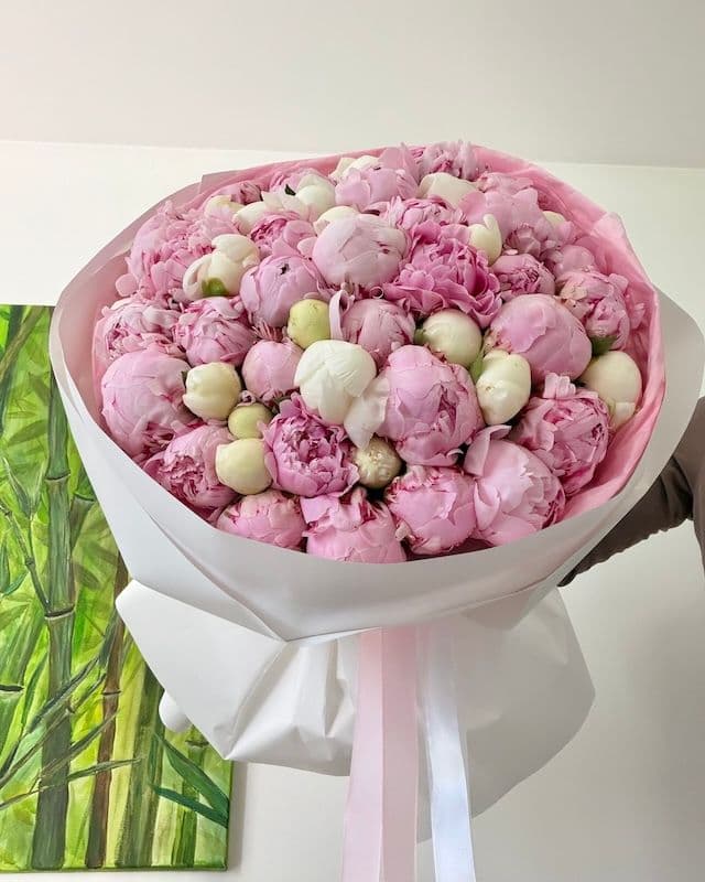 Bouquet 50 pivoines | Bowl of Cream