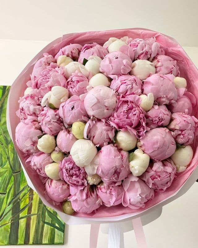 Bouquet 50 pivoines | Bowl of Cream