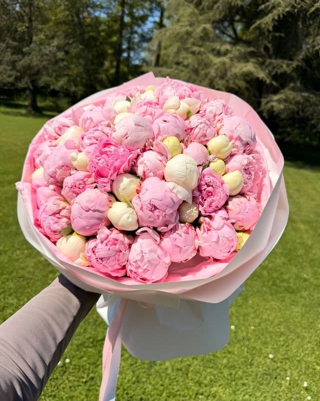 Bouquet 50 pivoines | Bowl of Cream