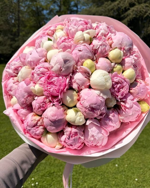 Bouquet 50 pivoines | Bowl of Cream