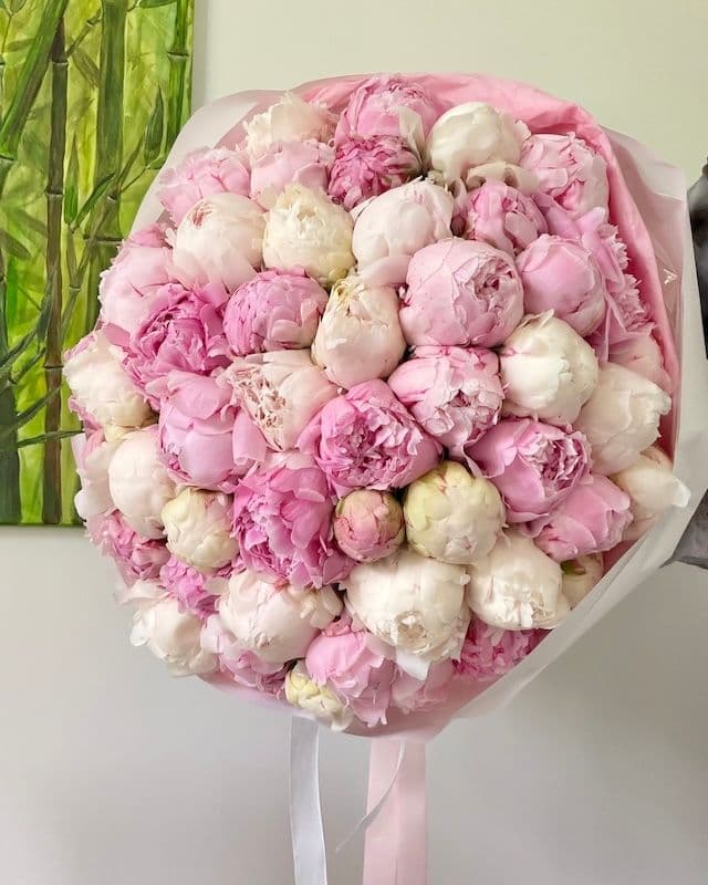 Bouquet de 50 pivoines blanc et rose Duchesse