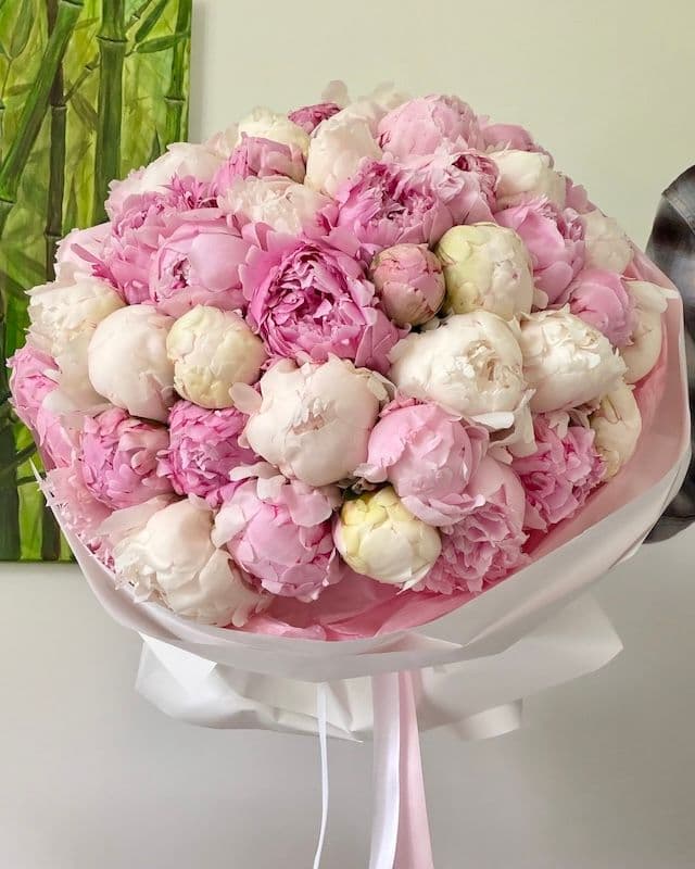 Bouquet de 50 pivoines blanc et rose Duchesse