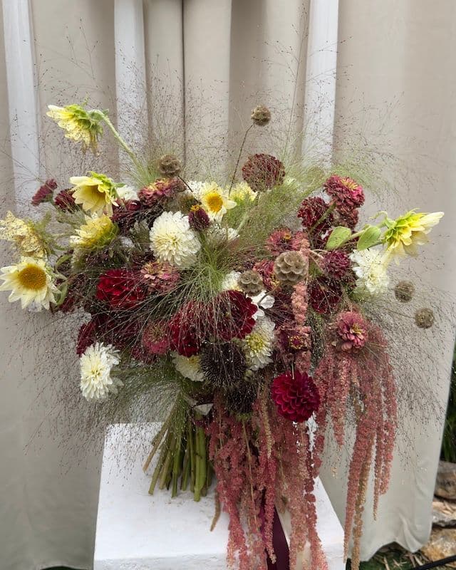 Composition florale automnale dans une riche palette – Tournesols, Dahlias, Panicum