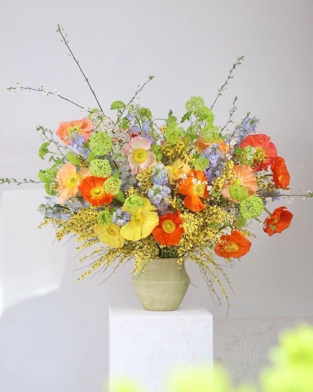 Composition florale avec coquelicots multicolores, genêt jaune et delphinium bleu