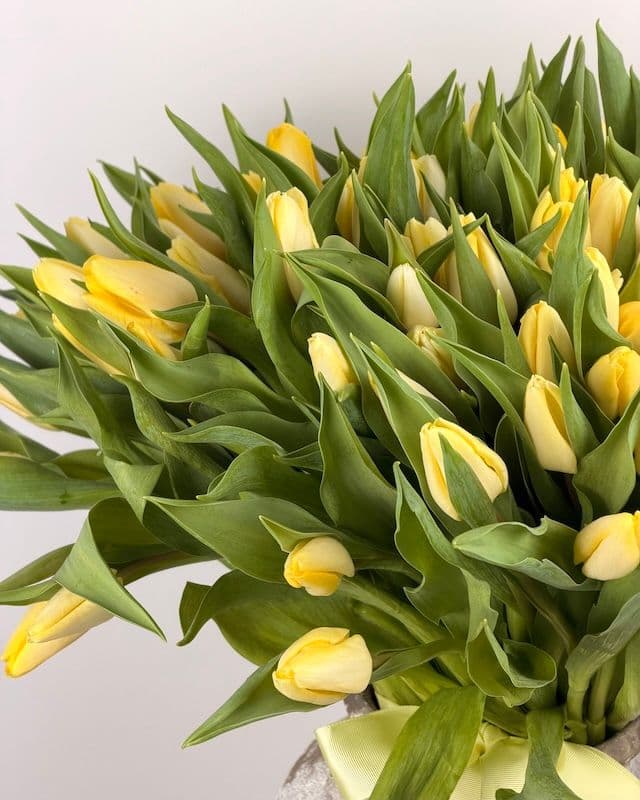 Bouquet de 100 tulipes jaunes