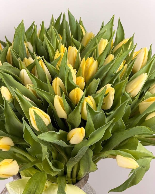 Bouquet de 100 tulipes jaunes