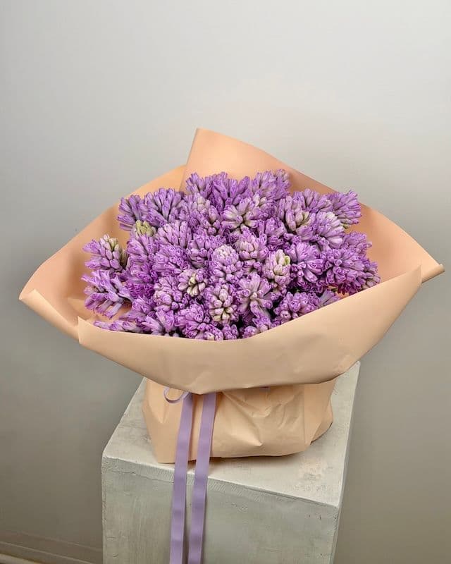 Bouquet de 50 jacinthes
