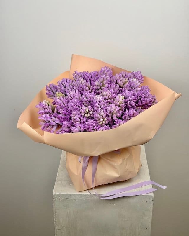 Bouquet de 50 jacinthes