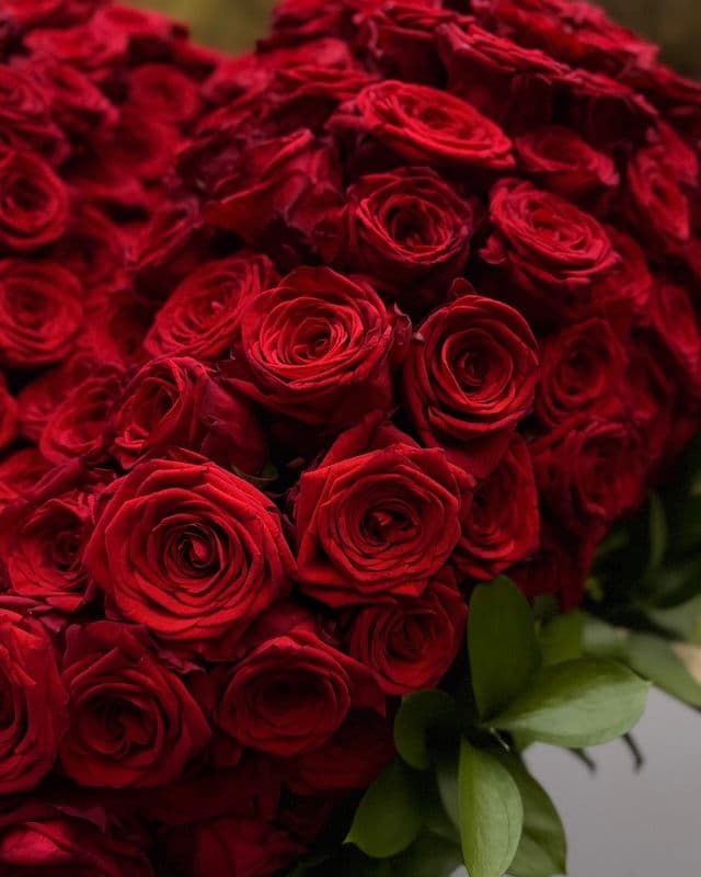 Bouquet cœur de 200 roses rouges