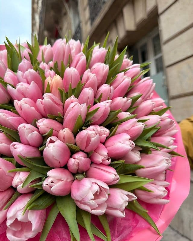 Bouquet de 100 tulipes roses