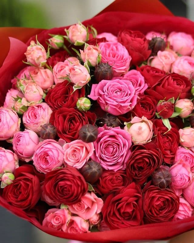 Bouquet aux fruits avec des roses Ruby Bijou et Classic Sensation