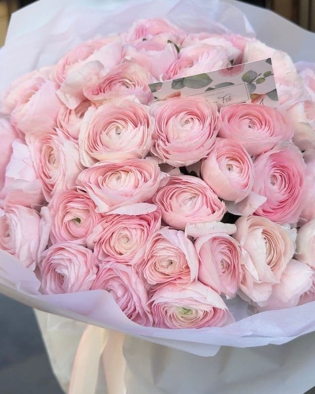 Bouquet 50 renoncules Hanoi roses - luxe