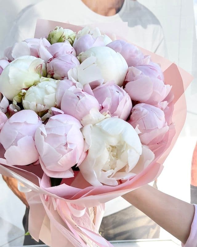 Bouquet aromatique de 19 pivoines Sarah Bernhardt