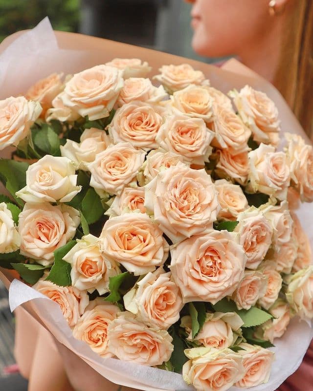 Bouquet pêche avec la rose buisson Tanya