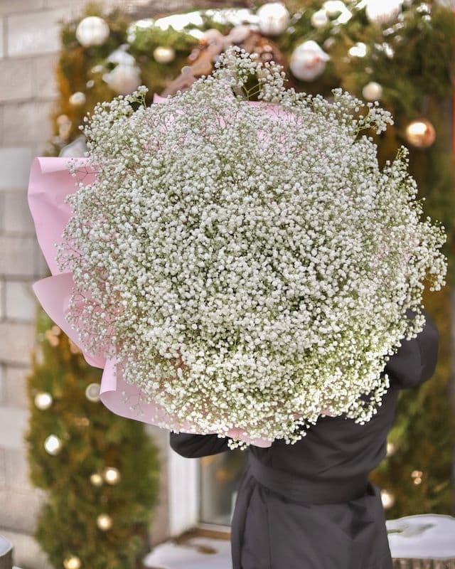 Somptueux énorme bouquet de gypsophile blanc